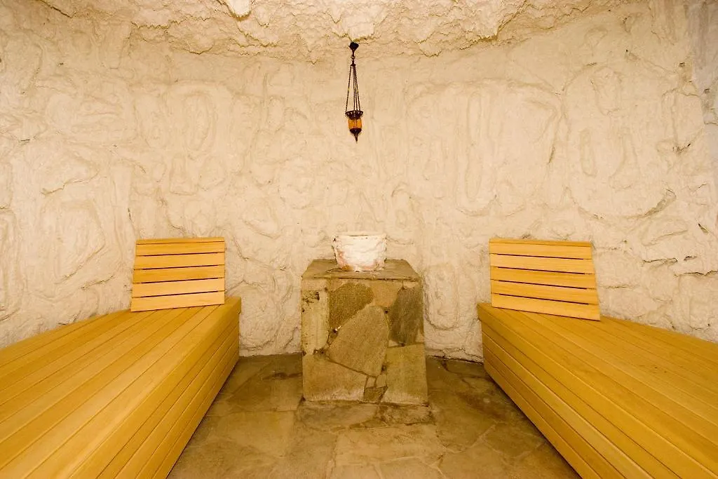 Rubin Wellness & Conference Hotel Будапешт 4*,